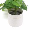 Decorative Artificial Monstera Adansonii Plant in Ceramic Bowl 30cm