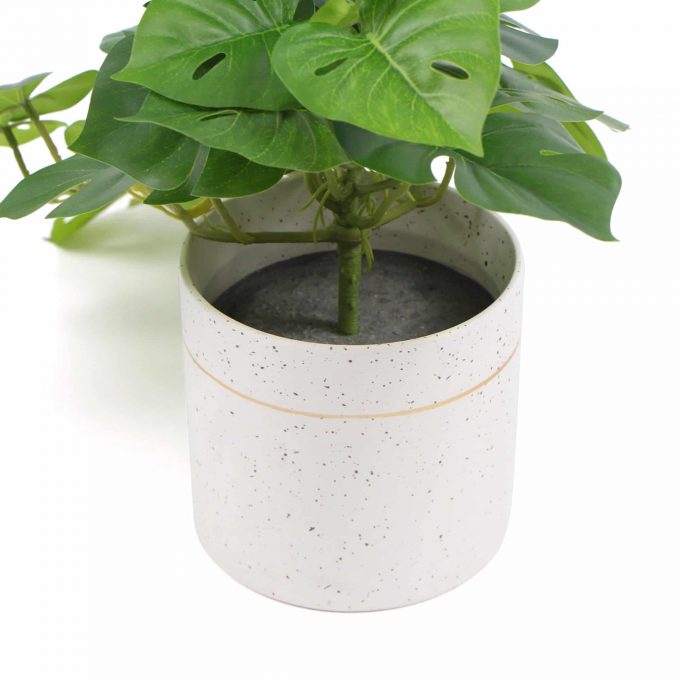 Decorative Artificial Monstera Adansonii Plant in Ceramic Bowl 30cm