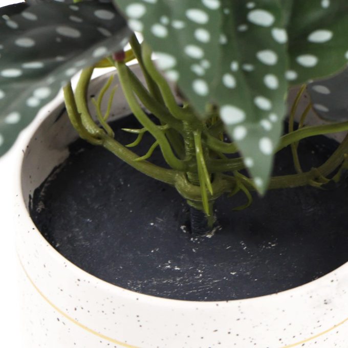 Artificial Begonia Maculata Plant In Decorative Bowl 30cm