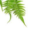 Artificial Hanging English Fern (Two-tone) Foliage UV Resistant 80cm