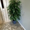 Nearly Natural UV Resistant Artificial Ficus Tree
