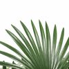 90cm Artificial Fan Palm frond