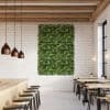 Premium Flowering Evergreen Wall Panel with Yellow Flowers in Cafe