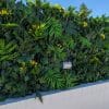 Luxury Hawaiian Sunrise Vertical Garden/Green Wall UV Resistant 1m X 1m