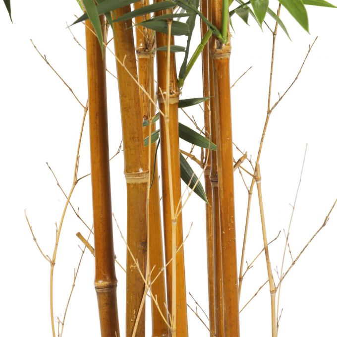 Outdoor Premium Artificial Bamboo Tree Leaves Trunk