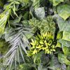 Luxury Fern Hawaiian Sunrise Vertical Garden - Leaves