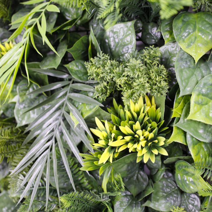 Luxury Fern Hawaiian Sunrise Vertical Garden - Leaves