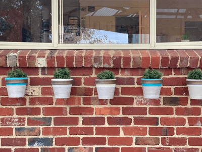 The new look for window boxes