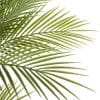 Palm fronds for Artificial Parlor Palm Tree 180cm Three trunk palm