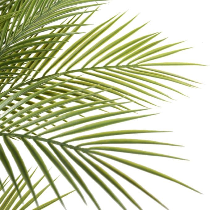 Palm fronds for Artificial Parlor Palm Tree 180cm Three trunk palm