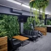 Imitation Gold Artificial Hanging Green Wall Disc
