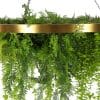 Hanging Vertical Garden Disc with Gold Frame and Hook and Chain