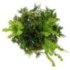 Hanging Vertical Garden Disc with Gold Frame with Ivy Vines