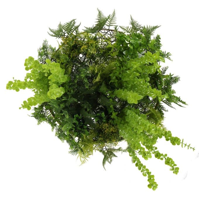 Hanging Vertical Garden Disc with Gold Frame with Ivy Vines