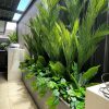 Real Touch Artificial Phoenix Palm Tree UV Resistant