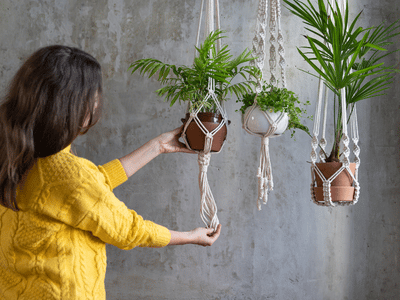 get creative with hanging plants