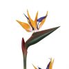 Artificial Bird of Paradise with Orange Faux Flowers CLose up image of both flowers
