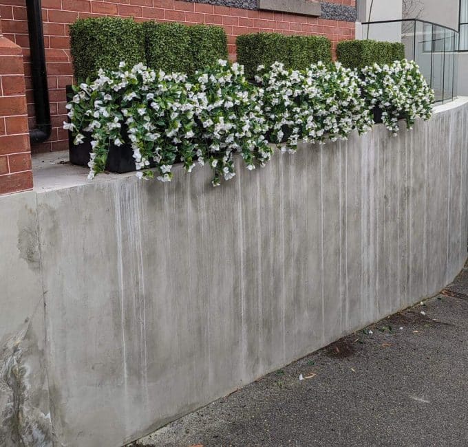 Hanging Artificial Flowering Plants for Outdoors with Boxwood Topiary Plants Along a Drive Way