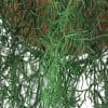 Artificial Spanish Moss Old Mans Beard Hanging Vine Basket Foliage