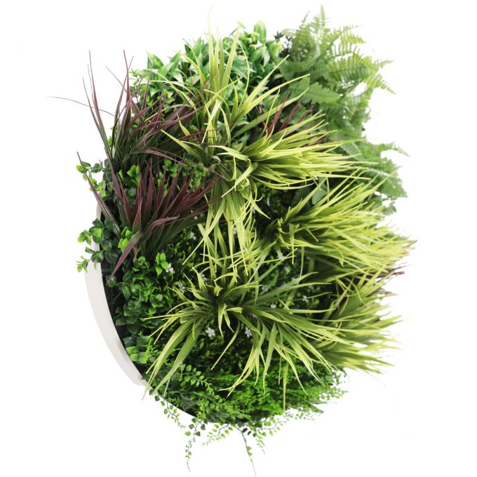 Artificial Green Wall Disc 80cm Grassy Fern Fields White Frame (1)