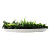 Disc View Slimline Artificial Green Wall Disc White Colour Fresh Disc 80cm