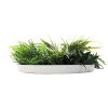 Frame View Disc Slimline Artificial Green Wall Disc White Grassy Fern Disc 80cm