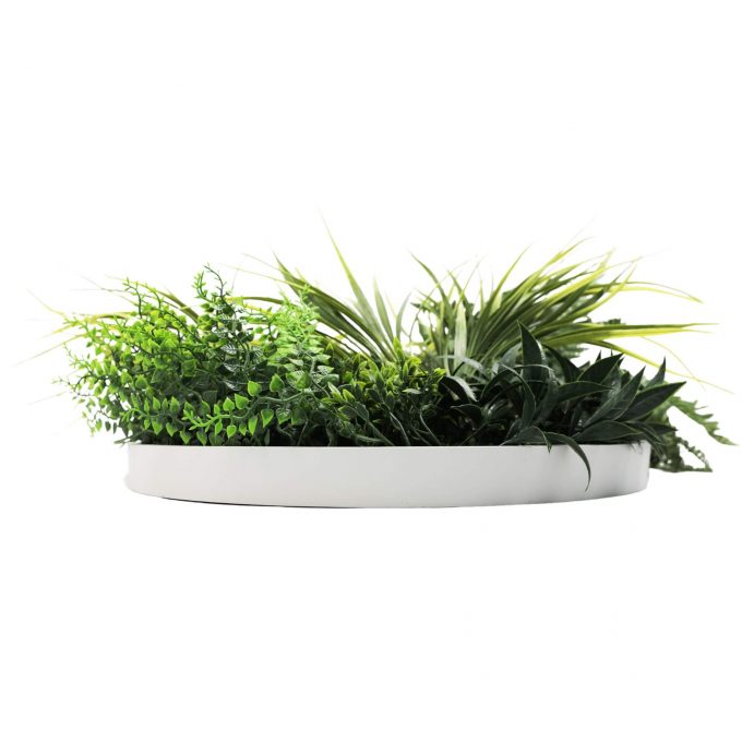 Frame View Disc Slimline Artificial Green Wall Disc White Grassy Fern Disc 80cm
