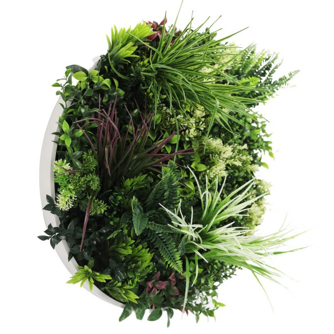 Frame and Leaf View Slimline Artificial Green Wall Disc White Colour Fresh Disc 60cm