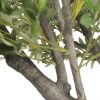 Large Artificial Olive Tree with Metal Plate and Faux Olives attached to the tree close up faux olives internal view of tree