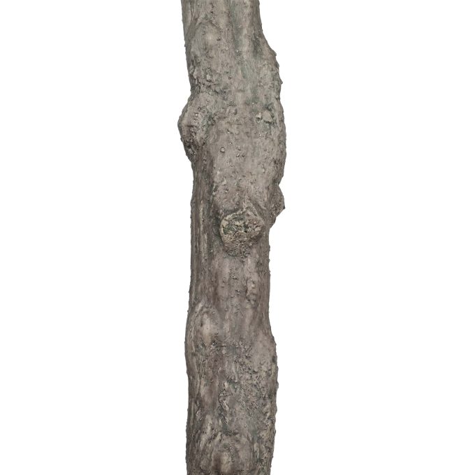 Large Artificial Olive Tree with Metal Plate and Faux Olives attached to the tree - trunk view