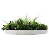 Side View Slimline Artificial Green Wall Disc White Colour Fresh Disc 60cm