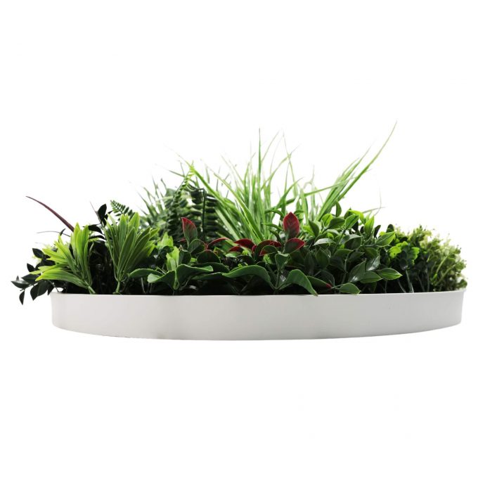 Side View Slimline Artificial Green Wall Disc White Colour Fresh Disc 60cm