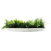 Sied View of Disc Slimline Artificial Green Wall Disc White Country Fern Disc 80cm (1)