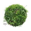 Slimline Artificial Green Wall Disc Art 100cm Country Fern UV Resistant (Black)