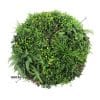 Slimline Artificial Green Wall Disc Art 100cm Country Fern UV Resistant (Black)