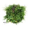 Slimline Artificial Green Wall Disc Art 60cm Country Fern UV Resistant (White)