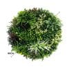 Slimline Artificial Green Wall Disc Art 80cm Colour Fresh UV Resistant (White)