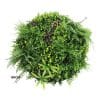 Slimline Artificial Green Wall Disc Art 80cm Country Fern UV Resistant (White)