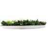 UV Resistant Slimline Artificial Green Wall Disc White 100cm Colour Fresh Wall Art Disc