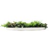 UV Resistant Slimline Artificial Green Wall Disc White 100cm Country Fern Wall Art Disc Frame