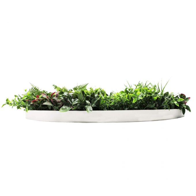 UV Resistant Slimline Artificial Green Wall Disc White 100cm Country Fern Wall Art Disc Frame