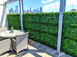 DESIGNER PLANTS