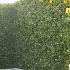 Flowering Artificial Boxwood Hedge Panel in Sydney for Privacy and Screening