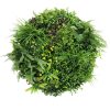 Front View Slimline Artificial Green Wall Disc Art 80cm Country Fern UV Resistant (Black)