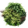 Front View Slimline Artificial Green Wall Disc Art 80cm Grassy Fern UV Resistant (Black)