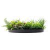 Front Slimline Artificial Green Wall Disc Art 60cm Country Fern UV Resistant (Black)