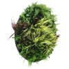 Front View Slimline Artificial Green Wall Disc Art 80cm Grassy Fern UV Resistant (Black) (1)