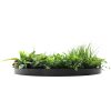 Side View Slimline Artificial Green Wall Disc Art 80cm Country Fern UV Resistant (Black)