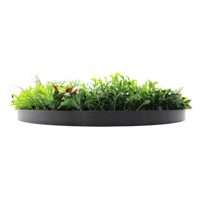 Slimline Artificial Green Wall Disc Art 80cm Colour Fresh UV Resistant Black Frame