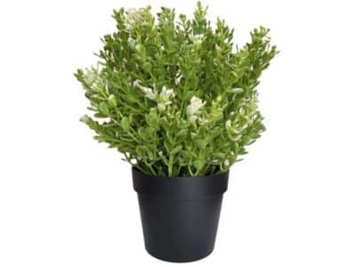 potted artificial jade plant